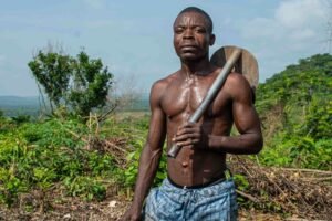 boost your digital growth