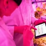 digital growth tools enhance