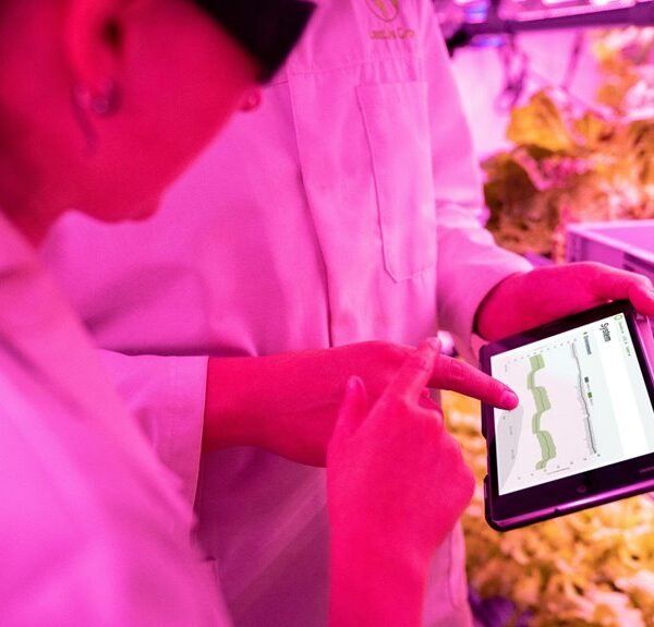 Strengthen Your Growth 651069503 Digital Tools