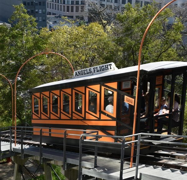 Elevate Your Marketing 984880197 Platform Now