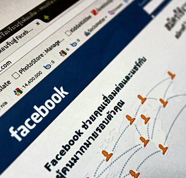 Creative Web Network 954320755 Online Platform