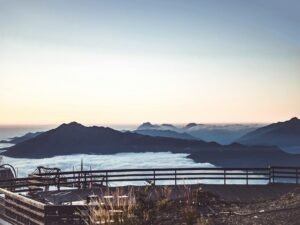 creative web platform identity