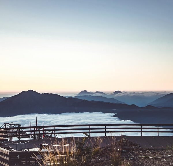 Creative Web Platform 1152725010 Cloud Suite