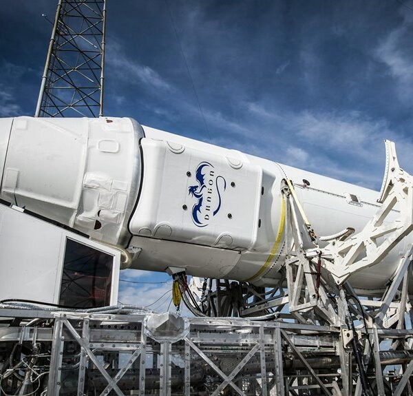 Dynamic Digital Engine 4097840063 Online Platform