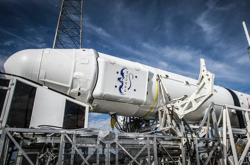 dynamic digital engine online platform